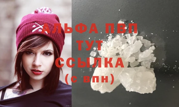 дживик Горняк