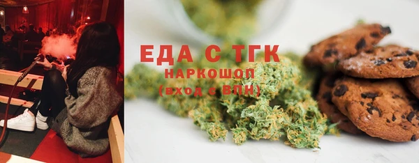 дживик Горняк