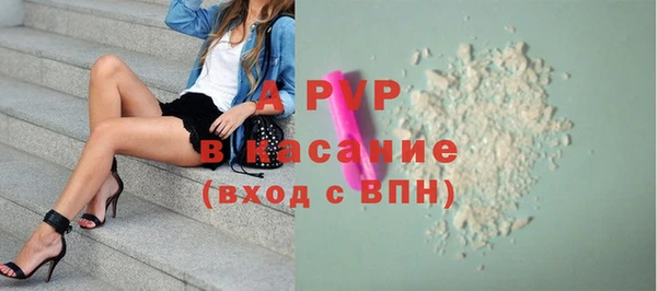 дживик Горняк