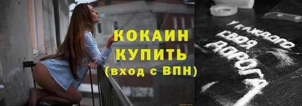 мдпв Горно-Алтайск