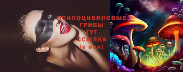 дживик Горняк