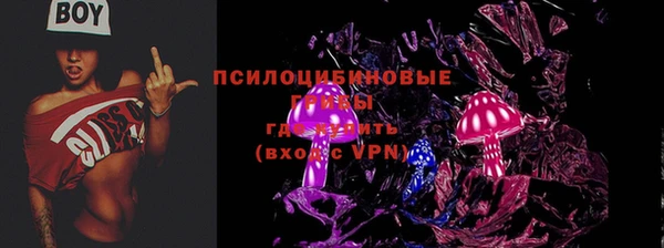 мдпв Горно-Алтайск
