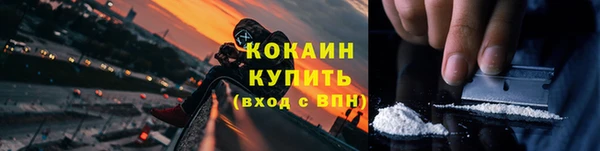 дживик Горняк