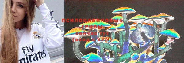 дживик Горняк