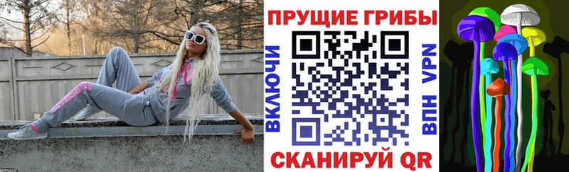 Купить где  Кулебаки  Галлюциногенные грибы MAGIC MUSHROOMS 